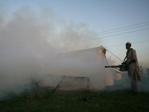 fumigate-420x0 fumigate-420x0