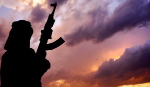 mijahedini mijahedini